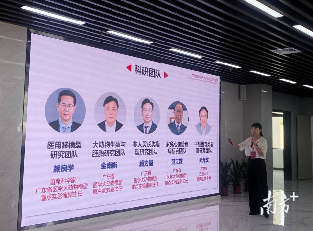 大動物模型研究院現擁有5支團隊，分別由賴良學、金南衡、范江霖、鄭允文等生物醫藥領域權威專家帶領。